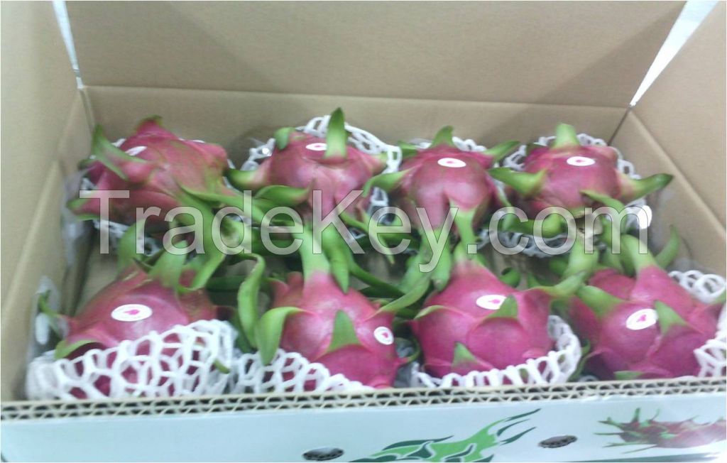 Fresh Dragon fruit