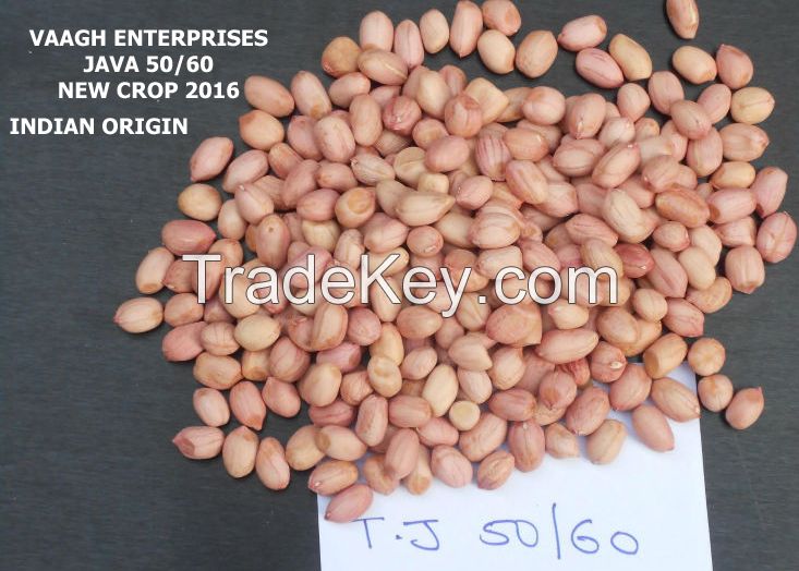 Peanut kernels or Groundnut in shell