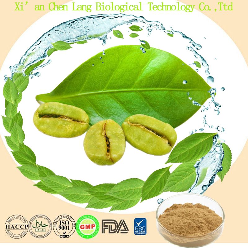 Green Coffee Bean Extract Powder Chlorogenic Acid