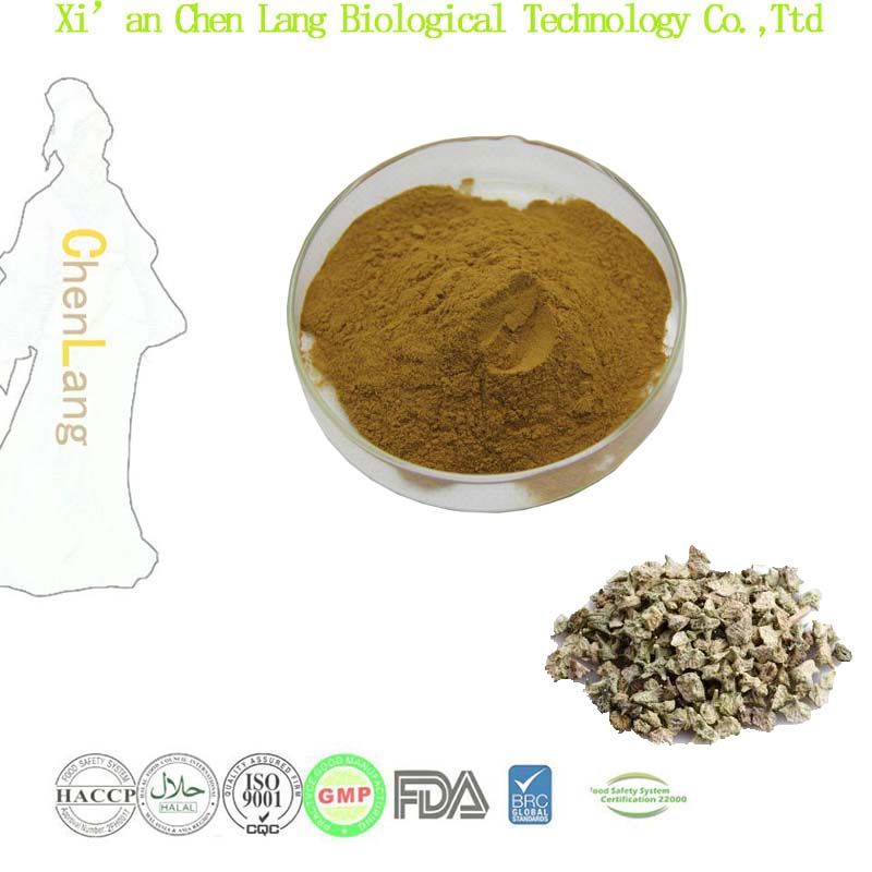 Tribulus Terrestris Extract Tribulus Terrestris Saponins 90%