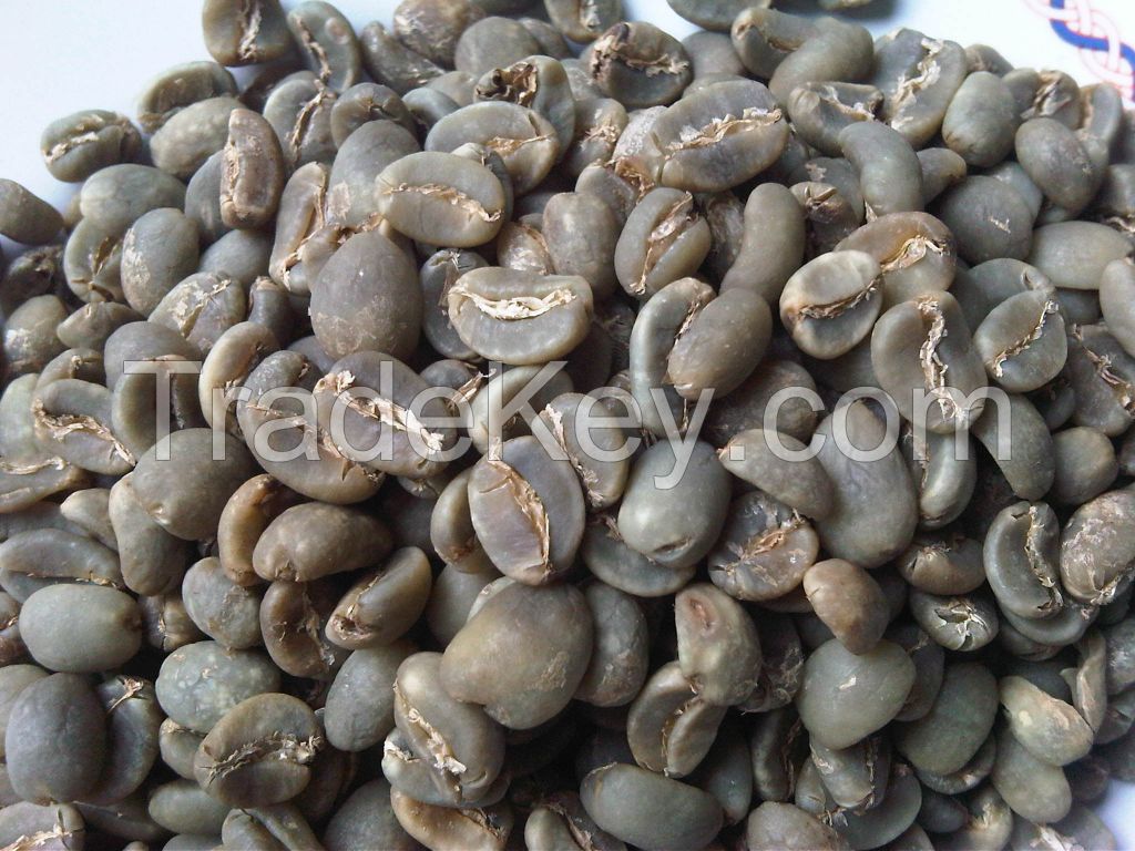 Arabica Gayo Coffee Semiwashed