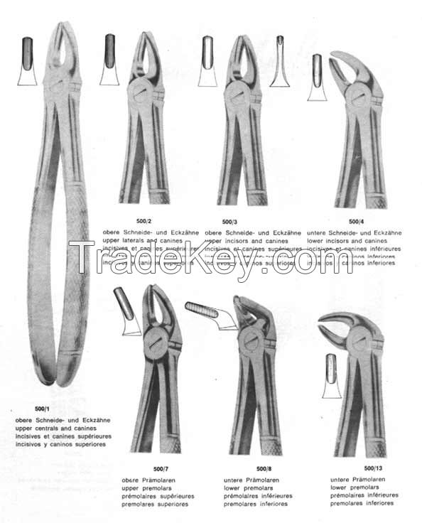 Extracting Forceps "American"