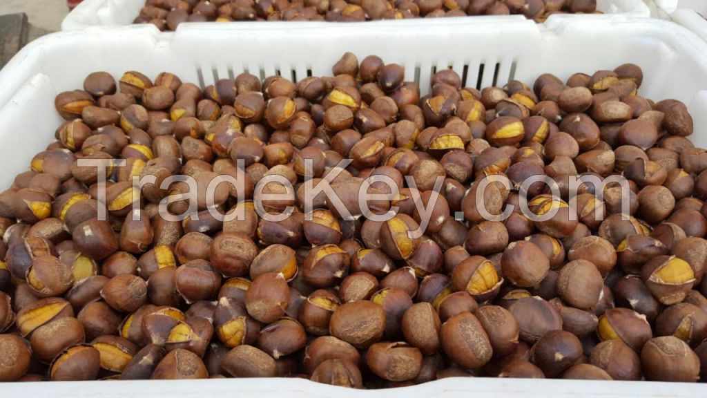 Fresh chestnuts,Frozen chestnuts