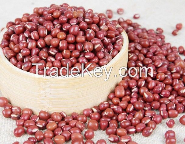 Adzuki beans small red beans with good quality 