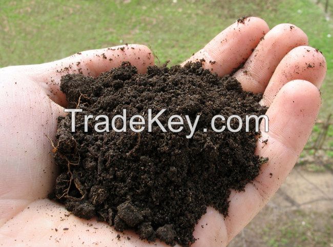 The best Peat Moss for Fertilizing / Greenhouse / Lawn planting mixes!