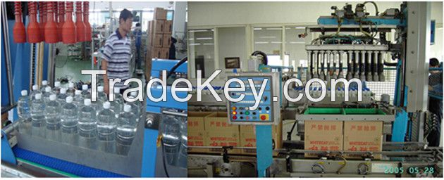 Carton Packing Machine