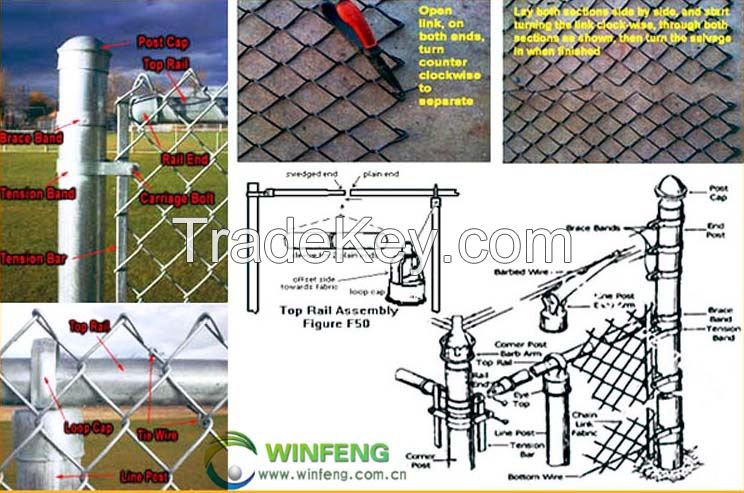  high quality wire mesh and best service chain link fence 