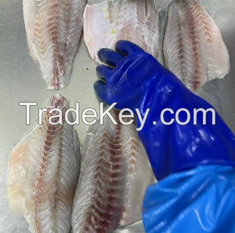 Halibut Fish
