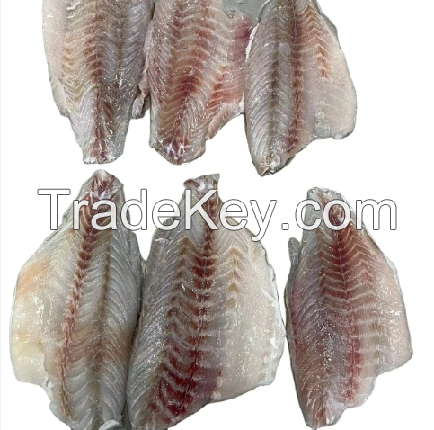 Halibut Fish