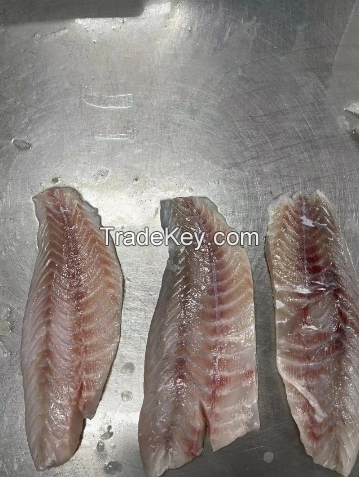 Halibut Fish