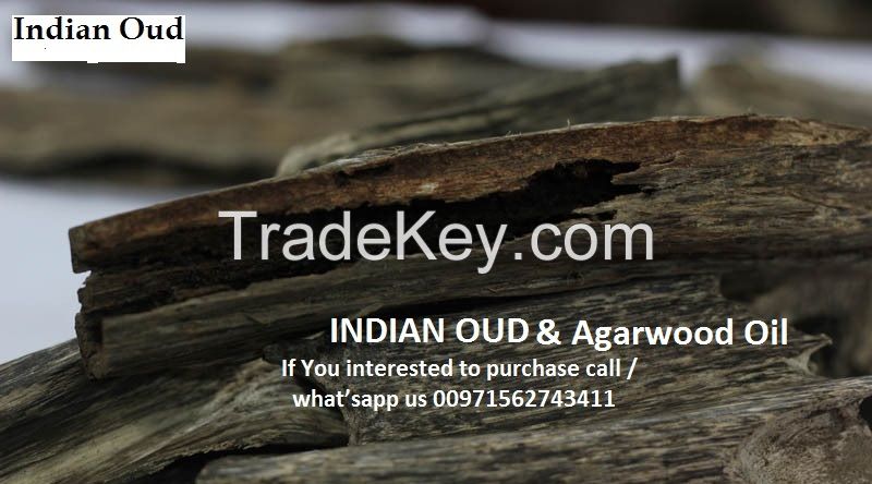 Oud &amp; Agarwood Oil for sale in UAE very good Quality from India 100% original natural 