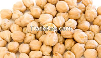 CHICKPEAS