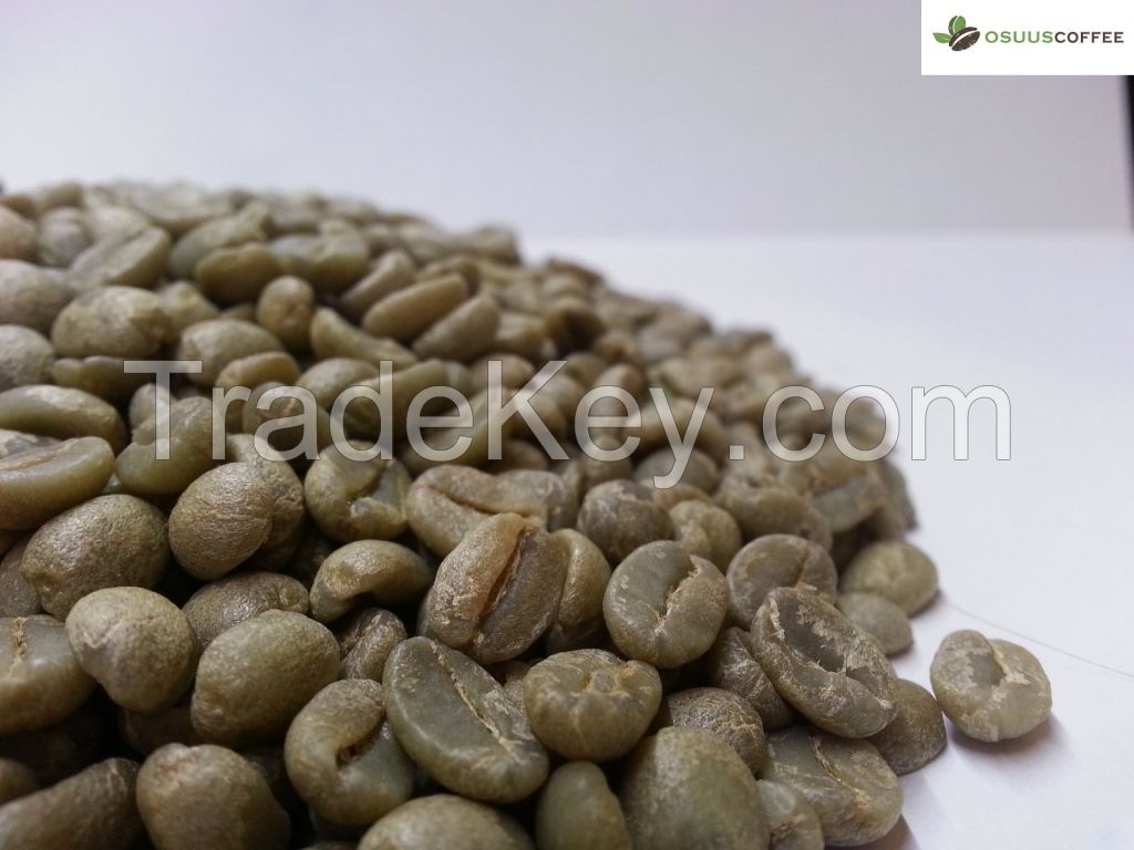 Arabica 100% Green Coffee Beans Specialty Grade and Premium quality