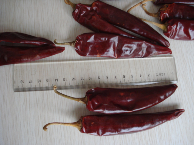 Dried Red Chili