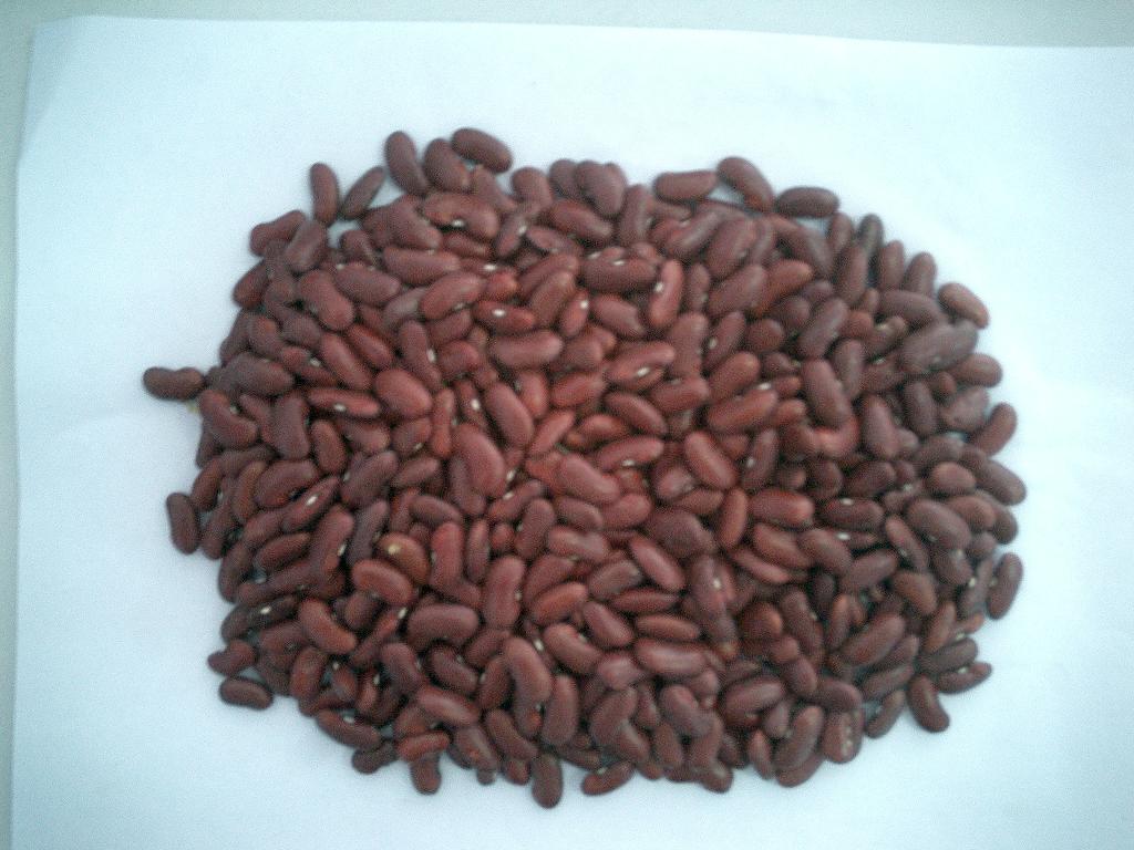 Dark Red Kidney Beans