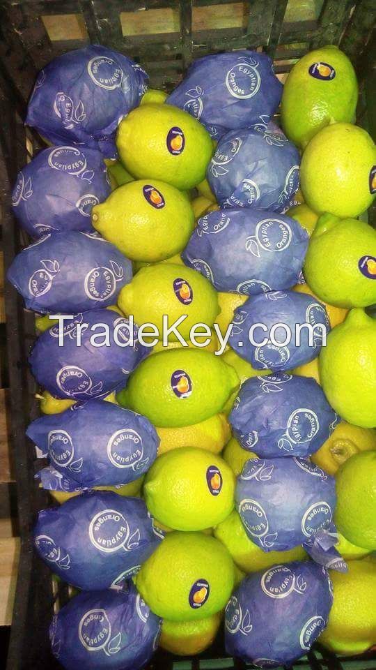 Egyptian fresh lemon