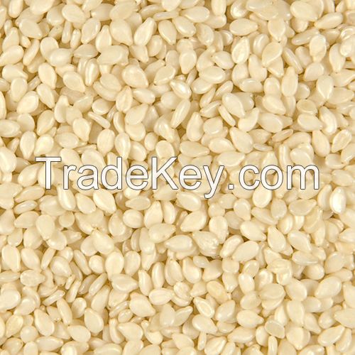 Unhulled White Sesame Seeds