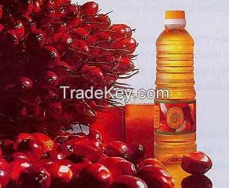 Refined Palm Oil