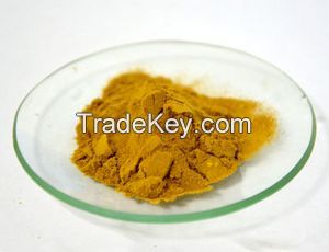 apple extract procyanidin b2 apple fruit extract 10% uv phloretin CAS:29106-49-8