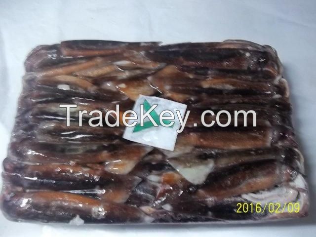 FROZEN WHOLE ROUND ILLEX ARGENTINUS SQUID - CALAMAR