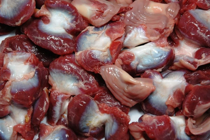 HACCP,HALAL,ISO Processed Frozen Chicken Feet ( Grade A )