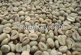 Coffe Robusta Green Bean Premium