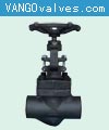 API Forge steel globe valve