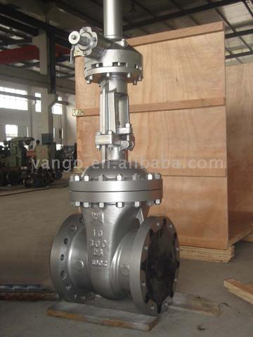 API cast steel gate valve