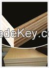 Marine Plywood 