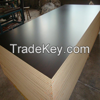 Marine Plywood 