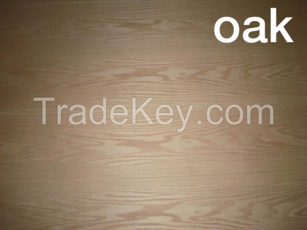 Sapele Veneer Plywood/ Red Oak Plywood