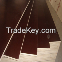 Marine Plywood 