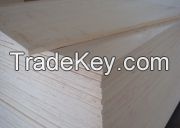 poplar plywood birch plywood