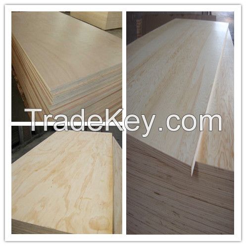 Pine Plywood Gurgan Plywood