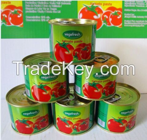 tomato paste canned