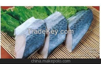 frozen Spanish mackerel fillet