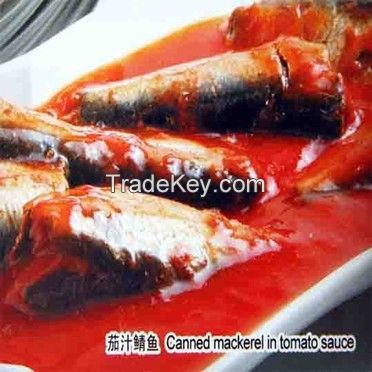 canned mackerel with tomato sauce