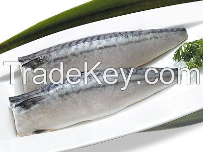 frozen mackerel fillet