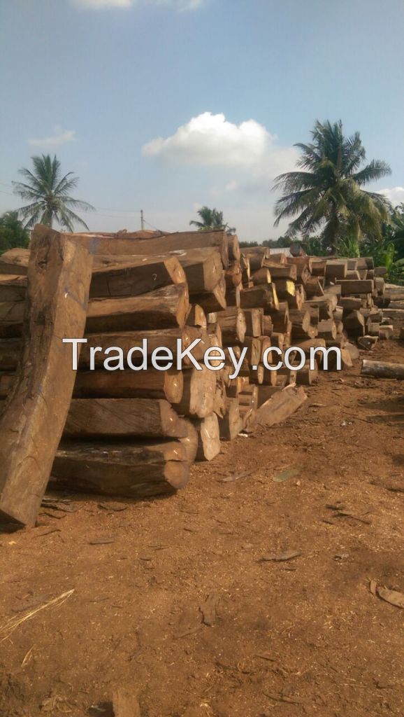 Kosso Wood long logs of Nigerian Origin