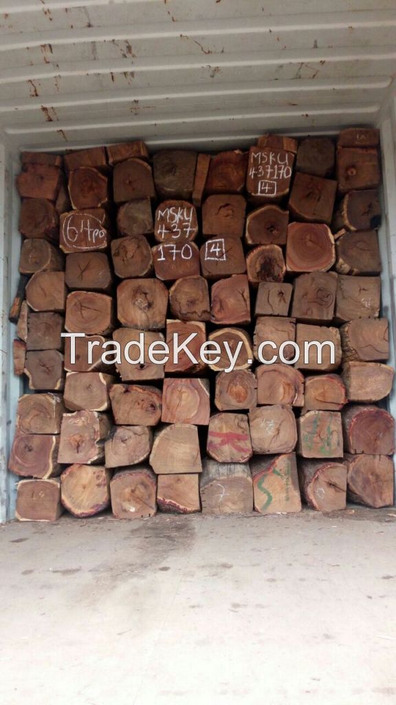 Kosso Wood long logs of Nigerian Origin