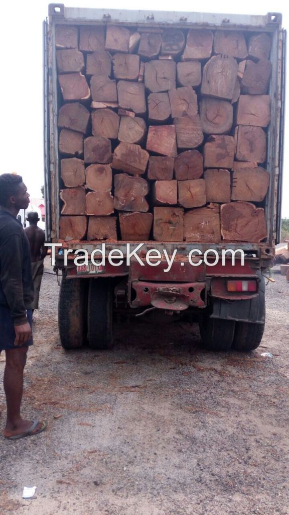 Kosso Wood long logs of Nigerian Origin