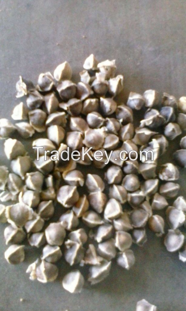 ORGANIC MORINGA SEEDS AND LEAF POWDER FROM MALAWI