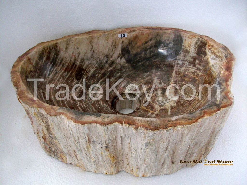 Fossil Wood Basins