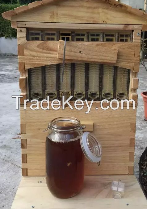 *2016*HONEY FLOW HIVE FRAMES BPA FREE ODM/OEM