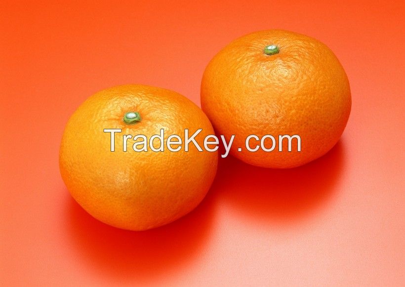 oranges