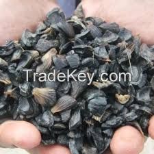 palm kernel shell