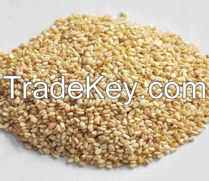 African Sesame seed