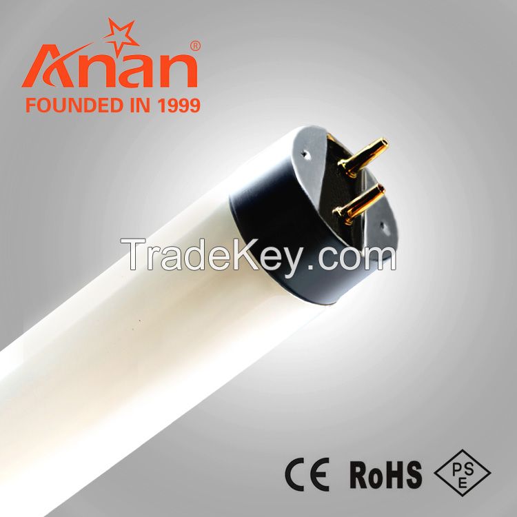 T10 fluorescent lamp