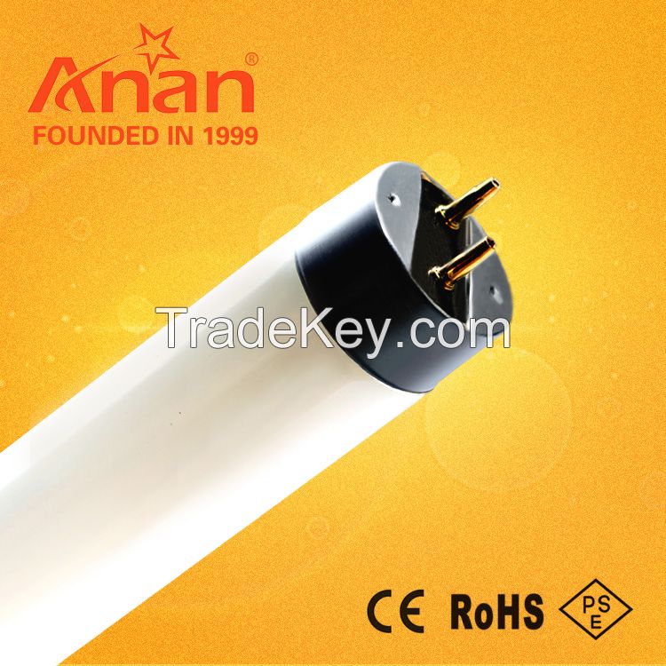 T12 fluorescent lamp