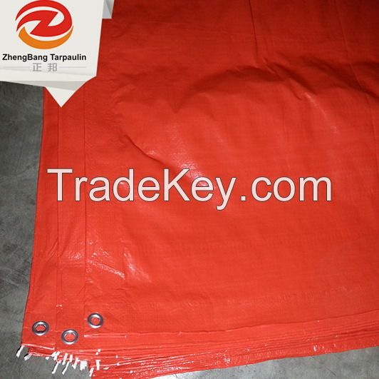 Blue/white PE tarpaulin | China PE tarpaulin in Rolls